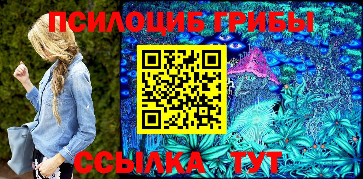 Псилоцибиновые грибы мицелий Хабаровск