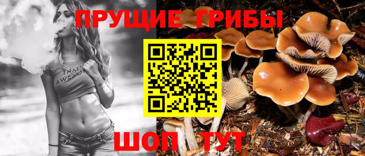 Хабаровск  Псилоцибиновые грибы ЛСД  закладка  Вход с VPN 